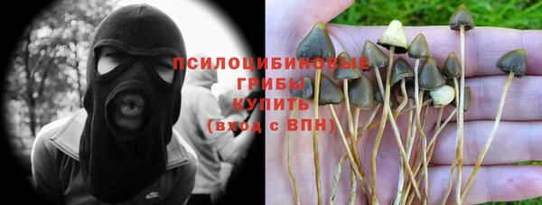 jwh Карпинск