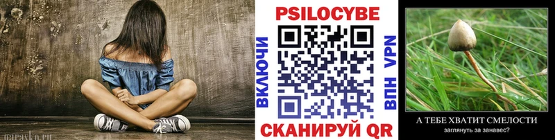 Купить где  Краснокаменск  Псилоцибиновые грибы GOLDEN TEACHER 